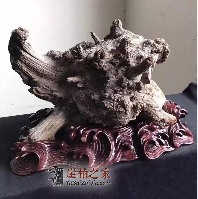 你可知玩崖柏的十七个“禁忌”?-1