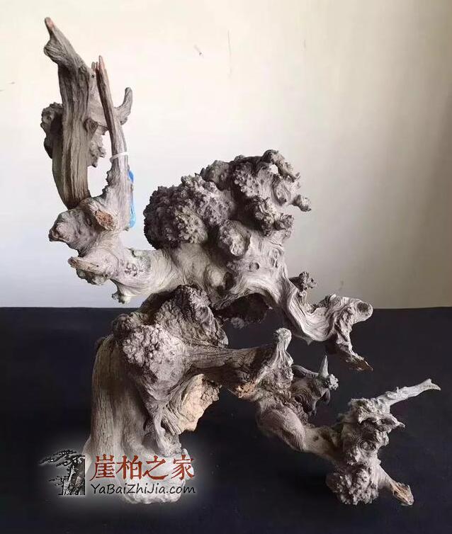 你可知玩崖柏的十七个“禁忌”?-2