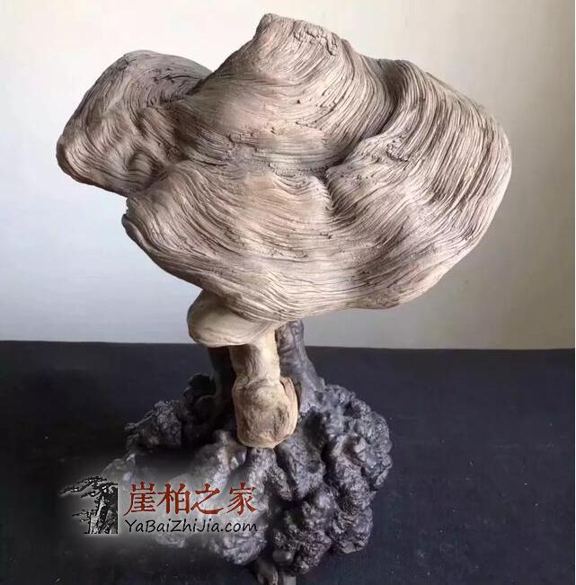 你可知玩崖柏的十七个“禁忌”?-3