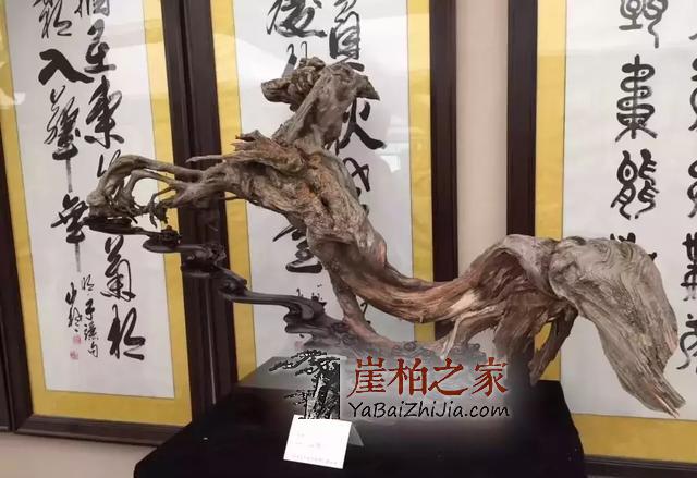 你可知玩崖柏的十七个“禁忌”?-4