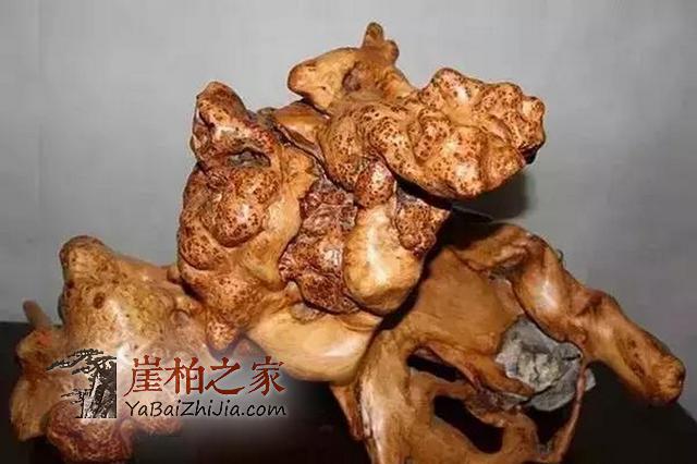 崖柏根雕如何收藏保养?-2