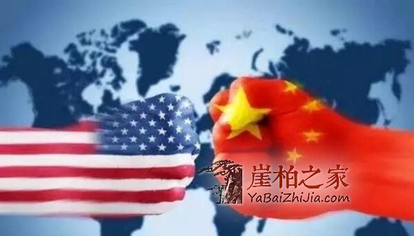 中美贸易战,“崖柏”成最珍贵投资收藏必备品-1
