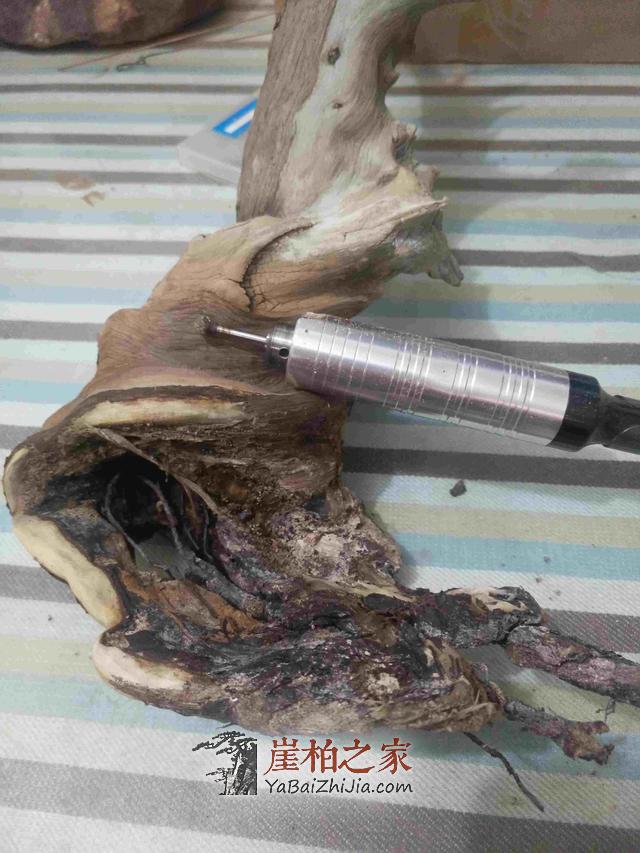 崖柏之家教您如何制作崖柏盆景(真崖柏枝干,假崖柏叶子)-4