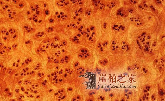 市面上满瘤疤崖柏手串,为什么就不是什么正经崖柏?-1