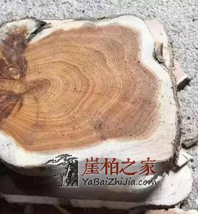 市面上满瘤疤崖柏手串,为什么就不是什么正经崖柏?-3