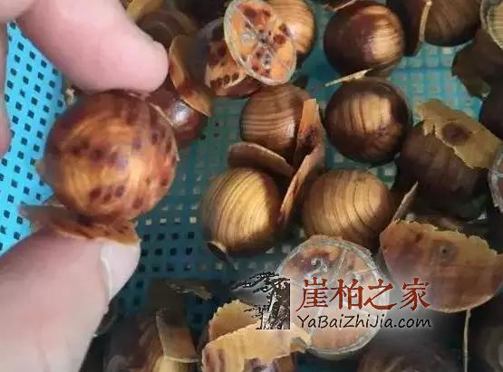 市面上满瘤疤崖柏手串,为什么就不是什么正经崖柏?-9