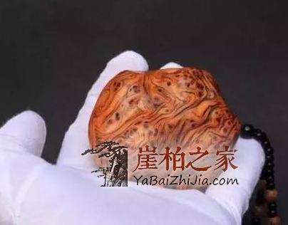 记住这几句话,什么样的崖柏你都能看懂了-2
