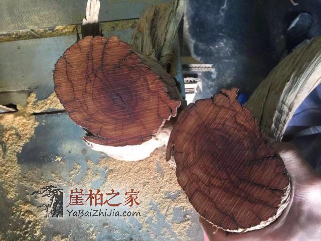 崖柏雷击木,那都是忽悠人的,喜欢崖柏手串的朋友注意了!-4
