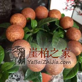 崖柏手串把玩前必读-1