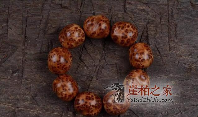 为何太行料崖柏价格与川料崖柏价格差距如此巨大呢?-3