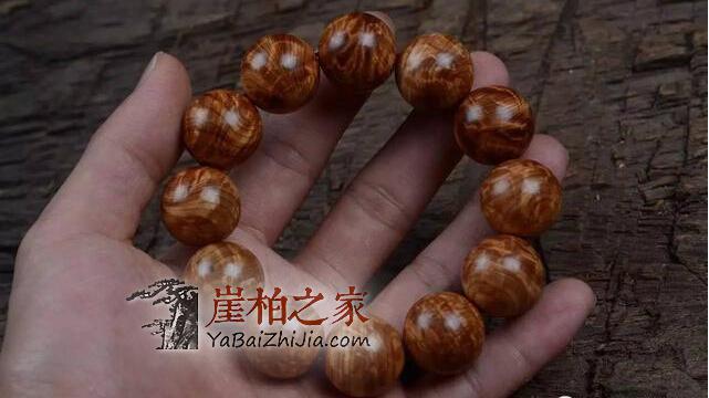 为何太行料崖柏价格与川料崖柏价格差距如此巨大呢?-2