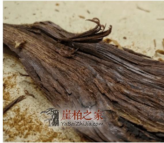 崖柏的香味与油性有什么关系?-1