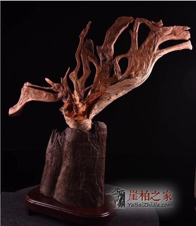 崖柏收藏最重要的理念是什么,如何收藏投资崖柏?-4