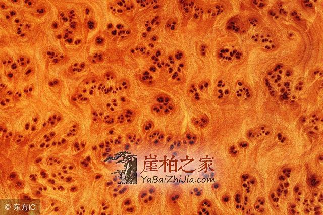 市面上满瘤疤崖柏手串,为什么就不是什么正经崖柏?-1