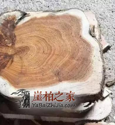 市面上满瘤疤崖柏手串,为什么就不是什么正经崖柏?-3
