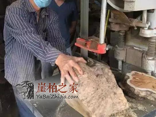 市面上满瘤疤崖柏手串,为什么就不是什么正经崖柏?-6