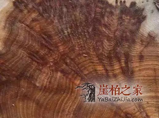 市面上满瘤疤崖柏手串,为什么就不是什么正经崖柏?-4