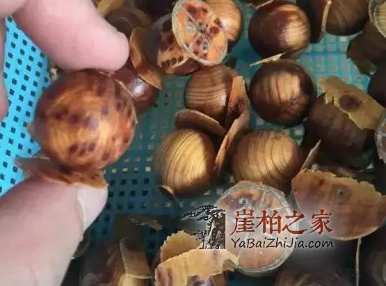 市面上满瘤疤崖柏手串,为什么就不是什么正经崖柏?-9