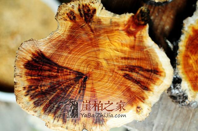 崖柏车珠子你了解多少?不会搞珠子的玩友不是好柏友-1