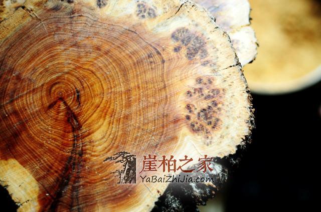 崖柏车珠子你了解多少?不会搞珠子的玩友不是好柏友-2
