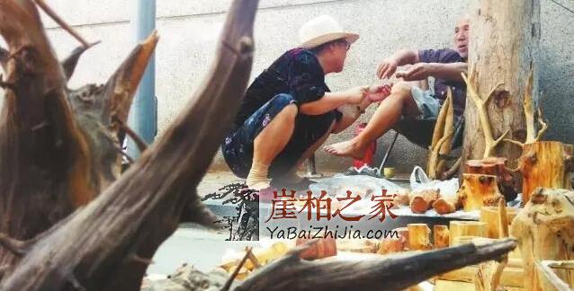 崖柏老司机的心里话!看了受益匪浅!-3