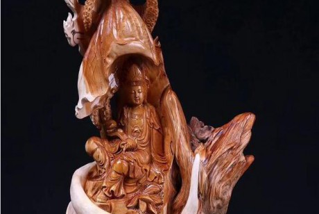 关于崖柏的误区，看看资深玩家怎么说？