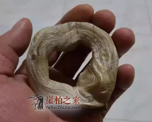 玩崖柏到底玩的是什么?本文或许有你想要的答案-4