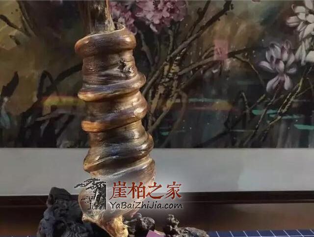 玩崖柏到底玩的是什么?本文或许有你想要的答案-6