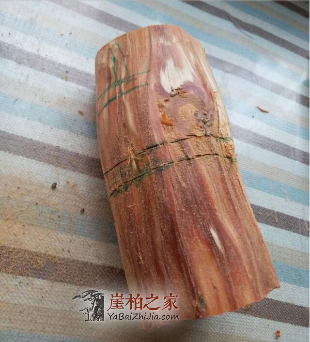 崖柏之家教你如何雕刻崖柏葫芦-2