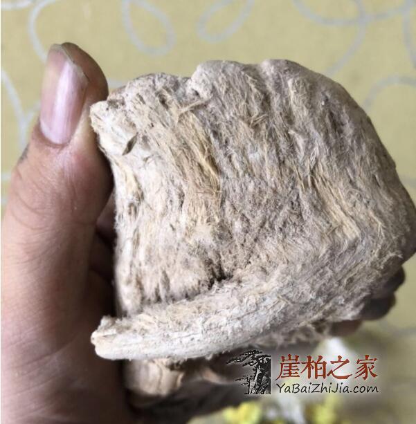崖柏毛毛料:崖柏香料收藏必争之地!-2
