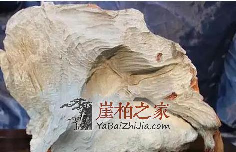 挑选崖柏毛料的技巧心得-2