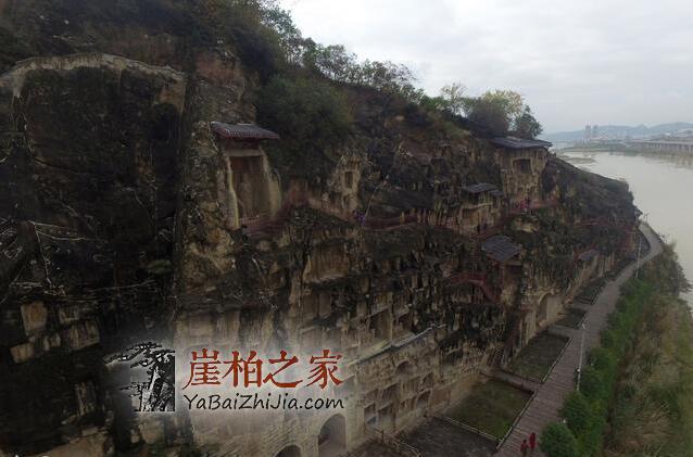 悬崖魅影,崖柏的藏身之所!-1