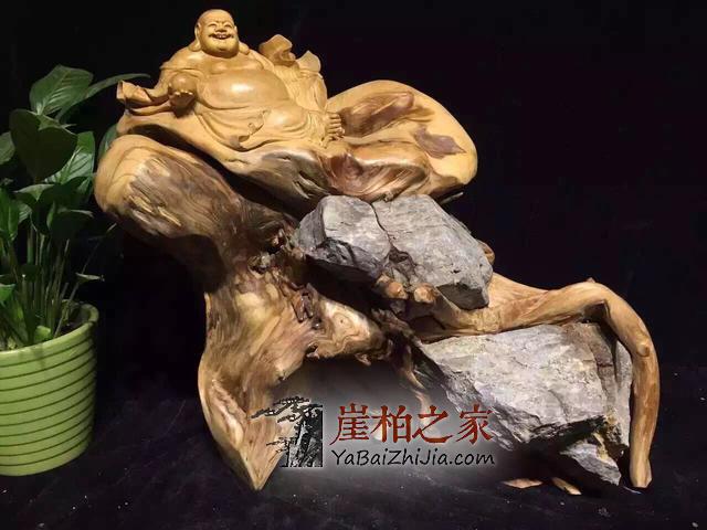 关于崖柏问过最多,最想了解的六个问题在这里-4