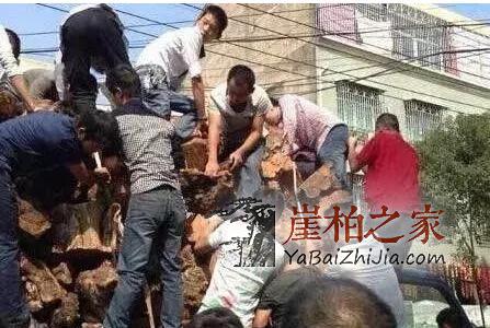 崖柏怎么从价值万元跌成了柴火价的?-3