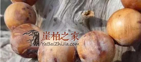 崖柏怎么从价值万元跌成了柴火价的?-5