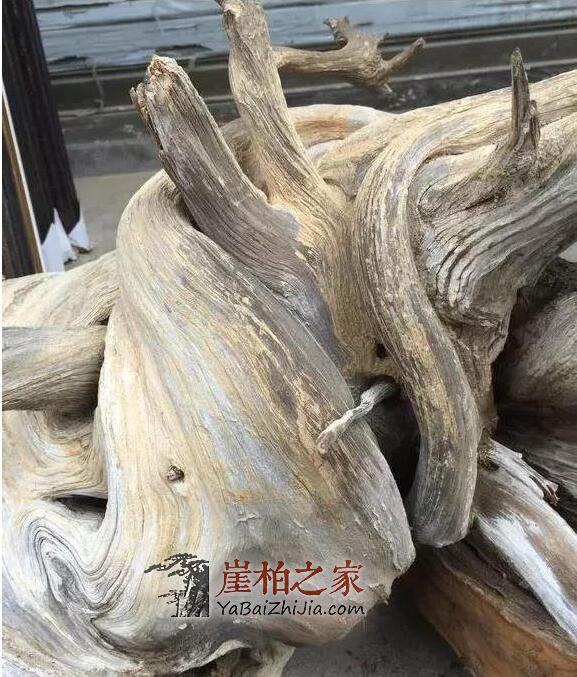 崖柏怎么从价值万元跌成了柴火价的?-11