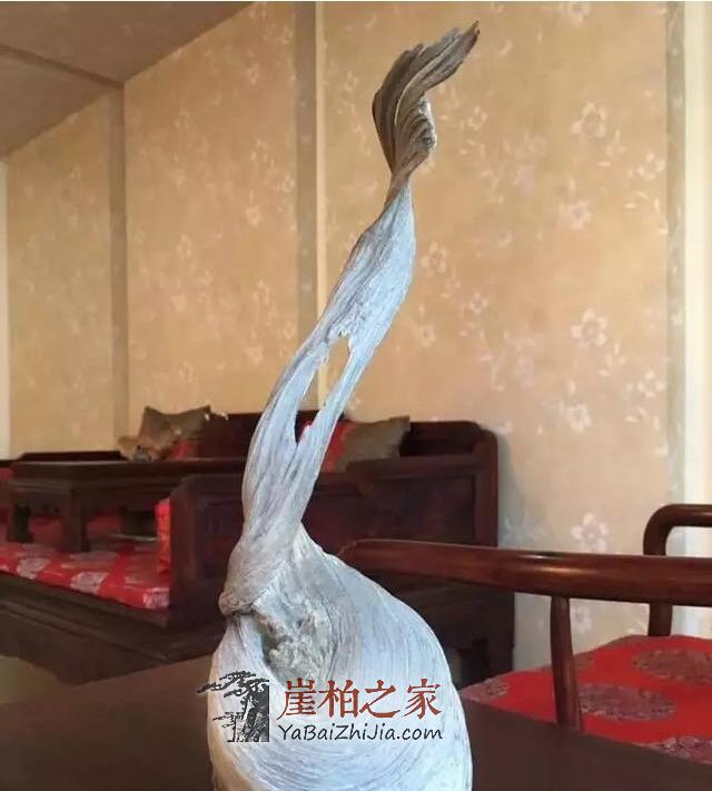 错过崖柏,错过缘分,但别错过机会!-4