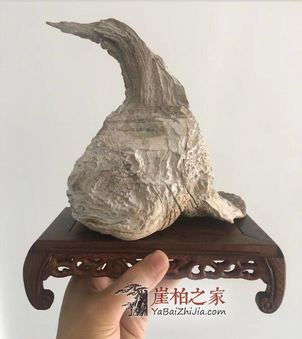 崖柏本身没有成本,哪来的自信出价这么高?-1