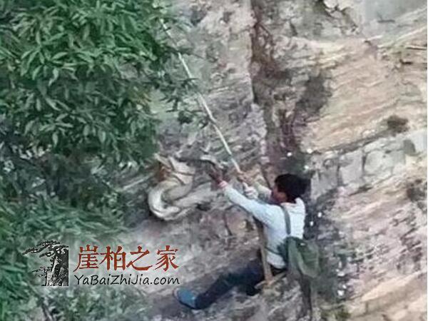 崖柏本身没有成本,哪来的自信出价这么高?-2