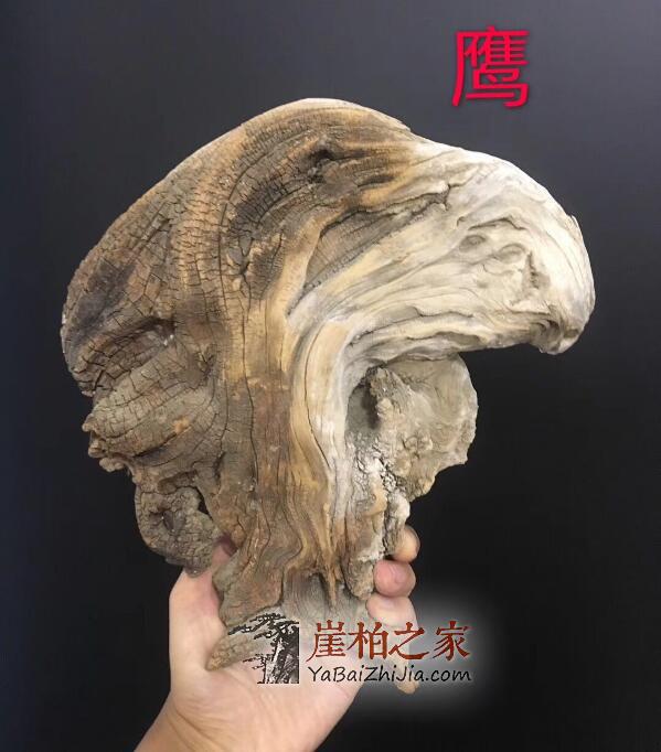 崖柏本身没有成本,哪来的自信出价这么高?-3