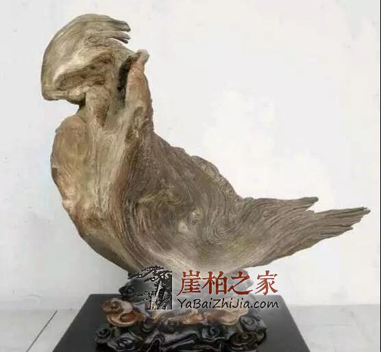 奇特的崖柏象形料,形神兼备-1