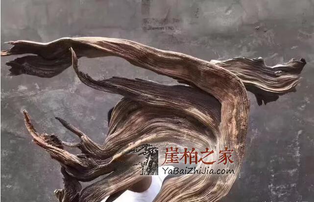 奇特的崖柏象形料,形神兼备-2