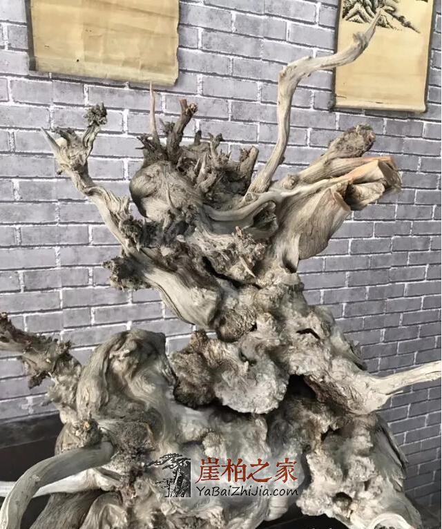 奇特的崖柏象形料,形神兼备-3