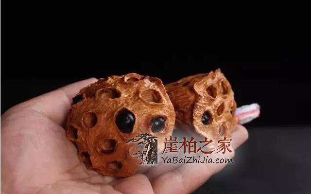 自从玩了崖柏,整个人都变了!-4