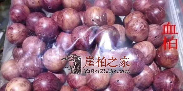 崖柏件件是“深坑”!孰优孰劣,孰真孰假?是李逵还是李鬼?-5