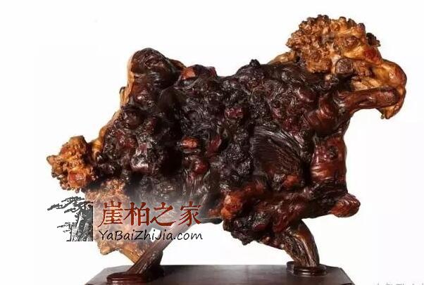 崖柏中的“宠儿”,价值不菲-3