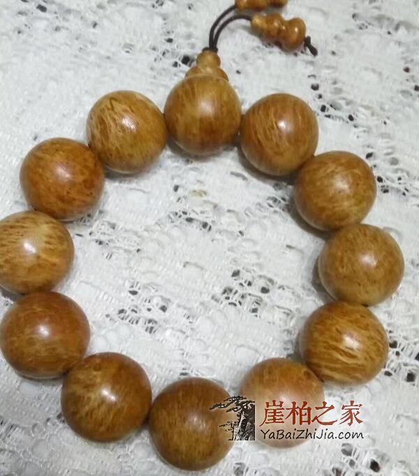 真正太行崖柏根瘤、蚂蚁腿、瘿子瘤手串什么样?-2