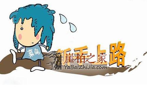 如果你是新手柏友,那么这几个问题想必不会陌生!-1