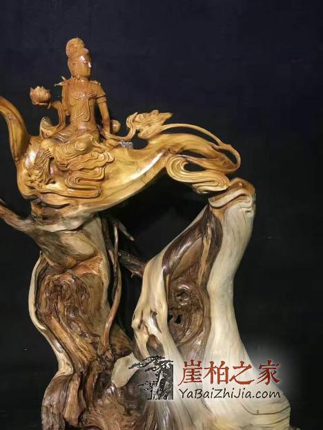 我们该如何应对如今异常火爆的崖柏市场?-1