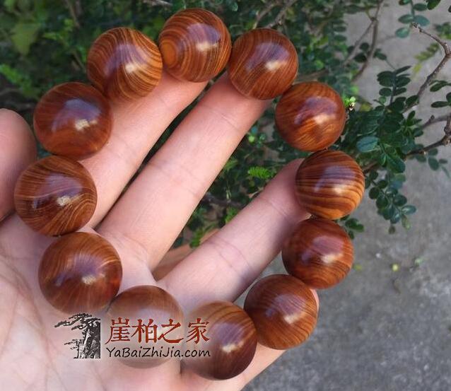 我们该如何应对如今异常火爆的崖柏市场?-2